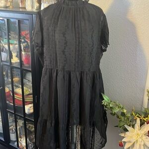 Forever 21 2X to black sheer dress with a lining